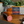 Load image into Gallery viewer, Kielbasa Combo 6 Pack