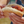 Load image into Gallery viewer, Kielbasa Cheese Grillers