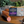 Load image into Gallery viewer, Kielbasa - Krakowska