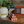 Load image into Gallery viewer, Kielbasa Combo 6 Pack